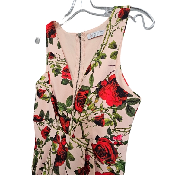 Nwot Ginger Fizz Sleeveless Plunging V Peach/Red Roses Asymmetrical Midi… - Picture 8 of 17